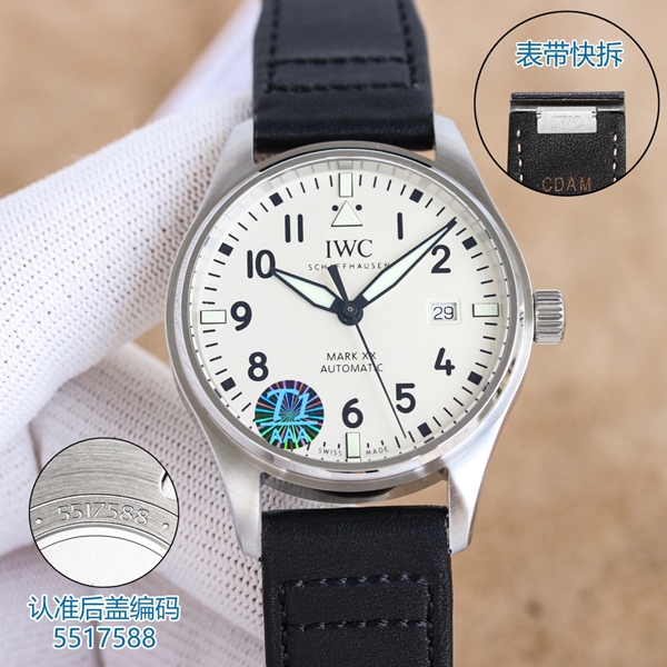 アイ・ダブリュー・シー背面デザイン